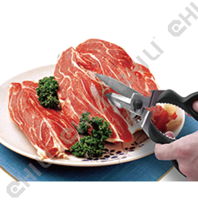Kitchen Scissor 2