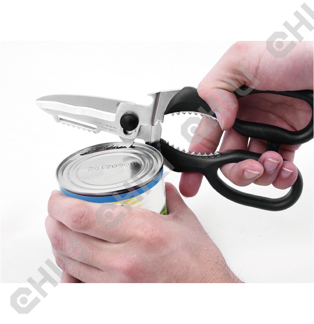 Kitchen Scissor 5